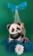 Thumbs/tn_ballotin panda bambou bleu 725.jpg
